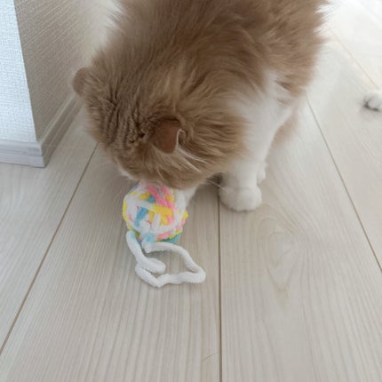 ペット用トイキャットスティックいちご/セリア/その他を使ったクチコミ(3枚目)