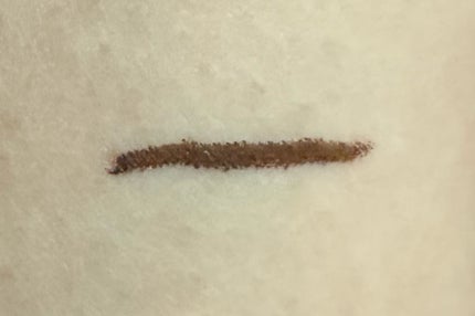 クリーミータッチライナー/キャンメイク/ジェルアイライナーを使ったクチコミ(2枚目)