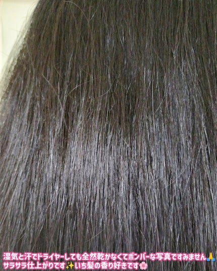 THE PREMIUM エクストラダメージケアシャンプー/トリートメント(シルキースムース)/いち髪/市販シャンプーを使ったクチコミ(5枚目)