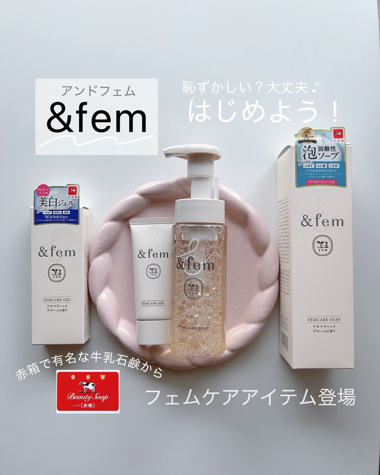アンドフェム フェムケア泡ソープ/＆fem/デリケートゾーンケアを使ったクチコミ（1枚目）