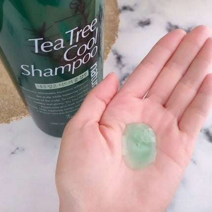 ナチュラルオンティツリークール シャンプー+トリートメント/デンギモリ/市販シャンプーを使ったクチコミ(5枚目)