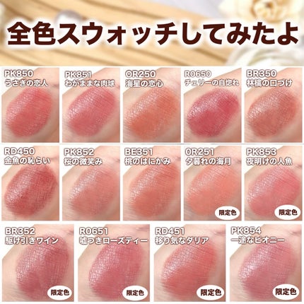 ネンマクフェイク ルージュ/Visée/口紅を使ったクチコミ(6枚目)