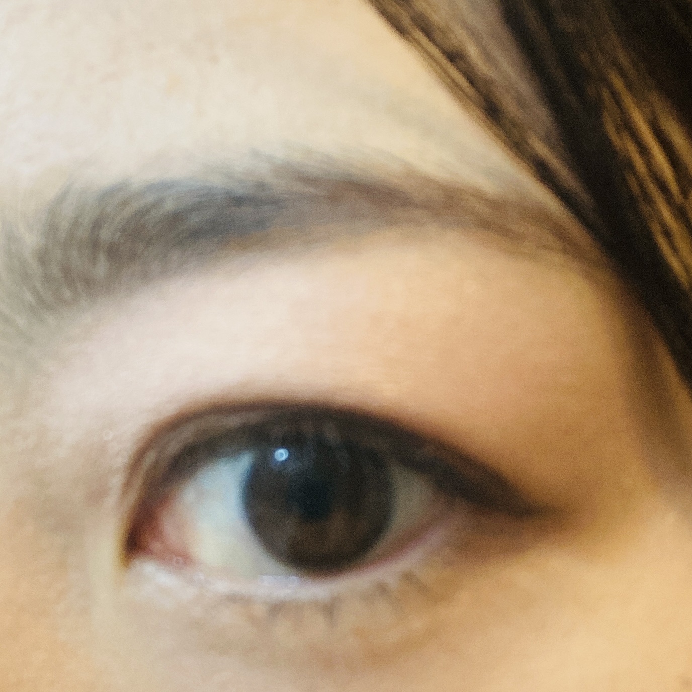 アイシャドウパレット/MIRIMU/アイシャドウパレットを使ったクチコミ（3枚目）