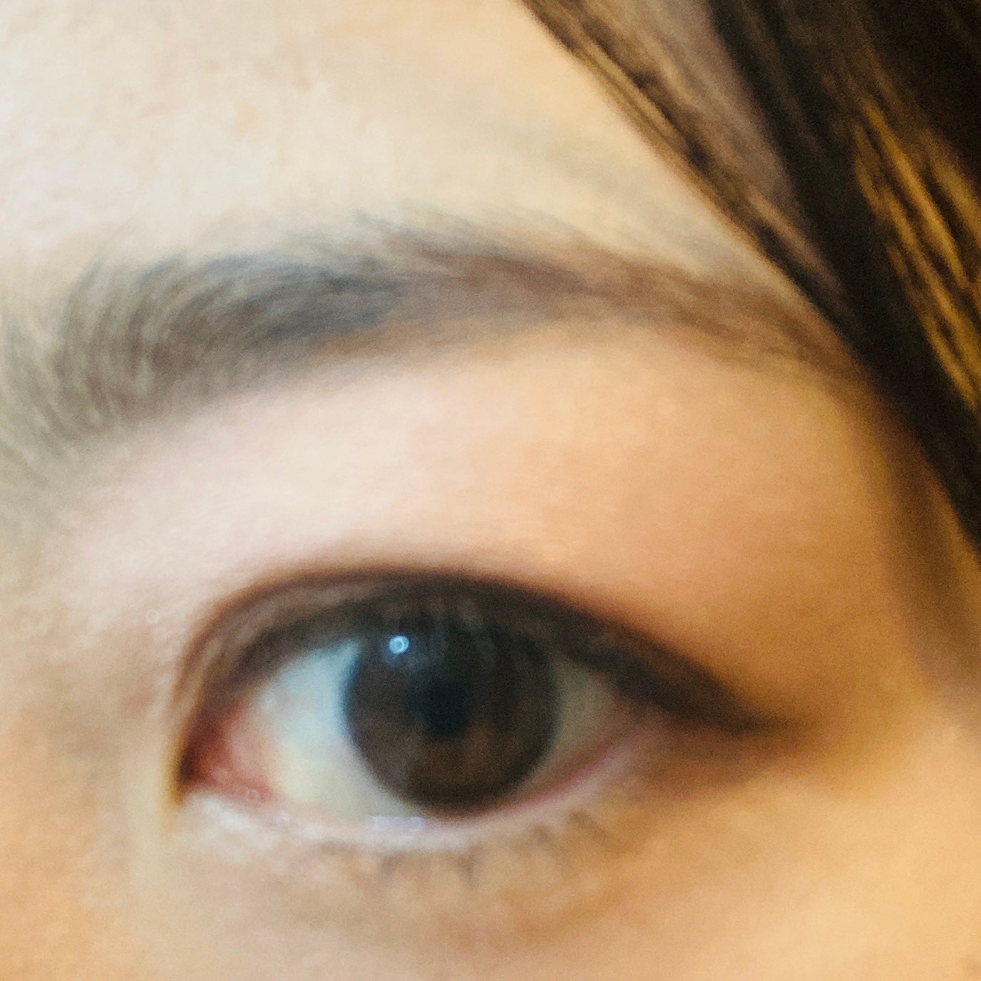 アイシャドウパレット/MIRIMU/アイシャドウパレットを使ったクチコミ(3枚目)