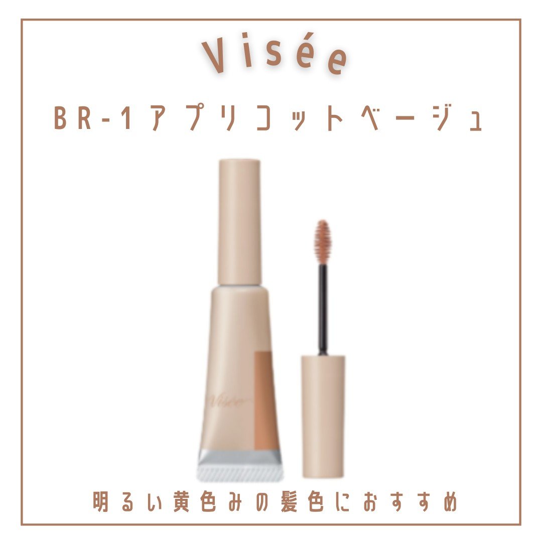 ヴィセ リシェ インスタント アイブロウ カラー/Visée/眉マスカラを使ったクチコミ（2枚目）