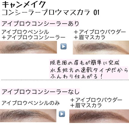 コンシーラーブロウマスカラ/キャンメイク/その他アイブロウを使ったクチコミ(4枚目)