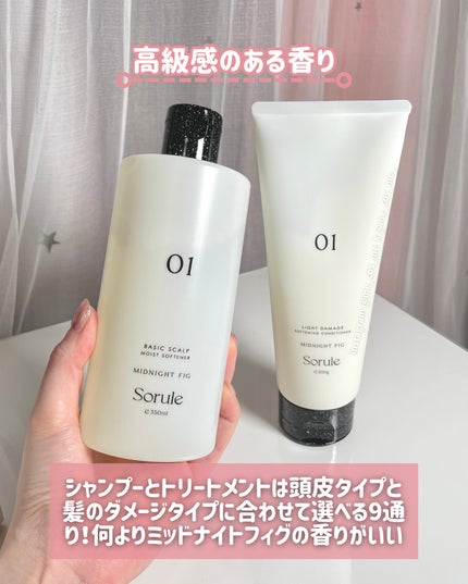 モイストソフナー 01ベーシックスカルプ/Sorule/市販シャンプーを使ったクチコミ(2枚目)