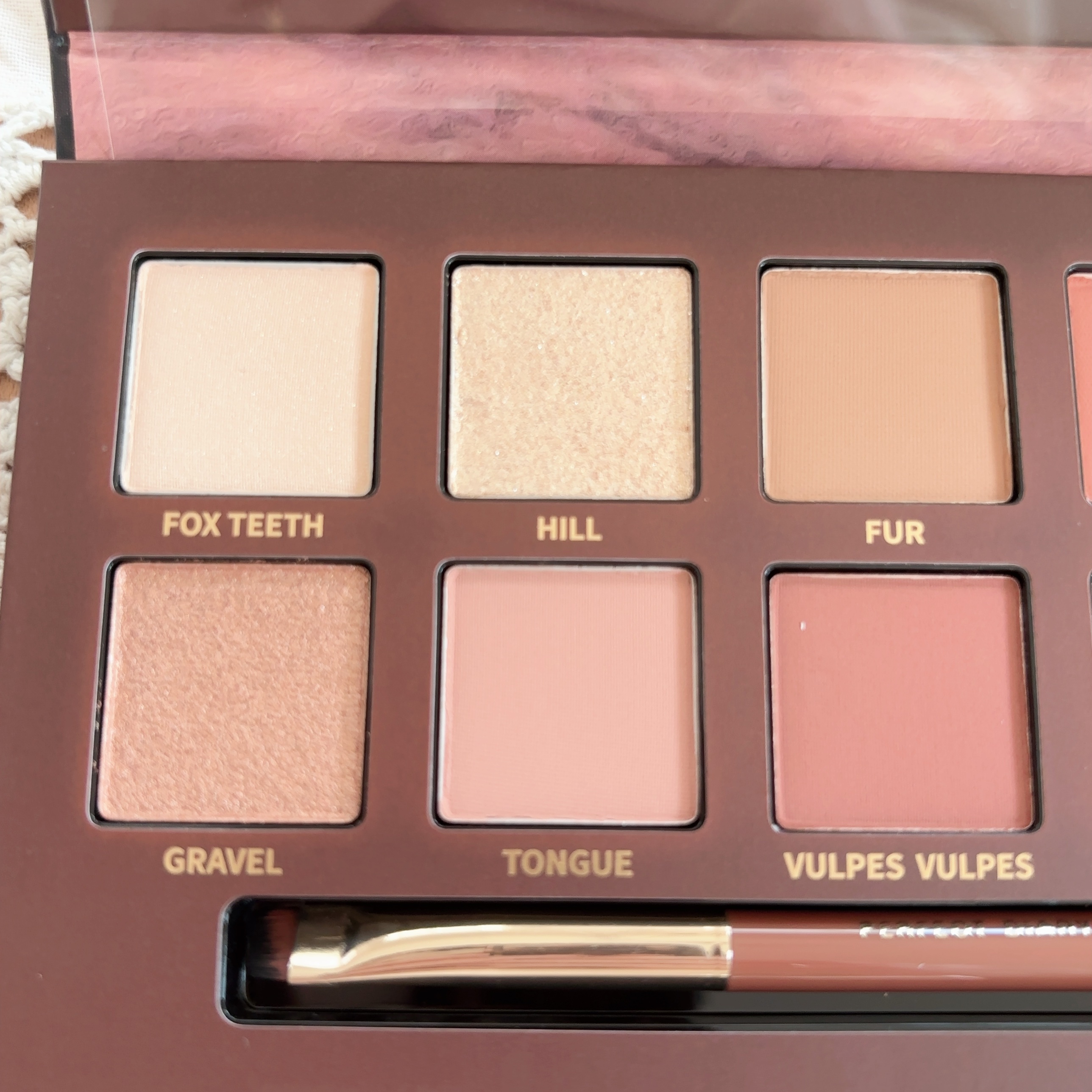 エクスプローラ12色 動物アイシャドウパレット/PERFECT DIARY/アイシャドウパレットを使ったクチコミ（3枚目）