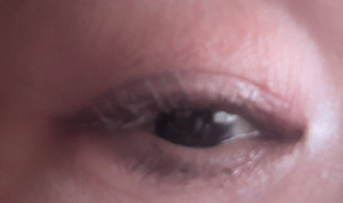 ニュアンス デューイ クリエイター/Visée/アイシャドウパレットを使ったクチコミ（2枚目）