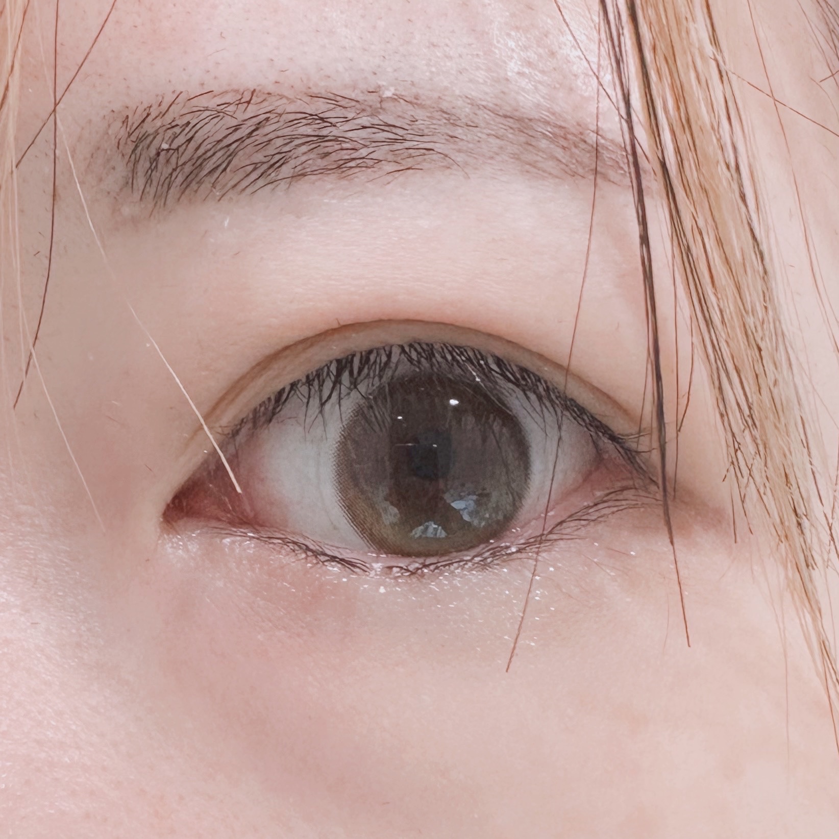 Glowy 1day ゴールデンオリーブ/OLENS/ワンデー（１DAY）カラコンを使ったクチコミ（3枚目）