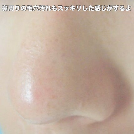 アレンシアプレミアムもちソープ「グリーン」/アレンシア/その他洗顔料を使ったクチコミ(5枚目)