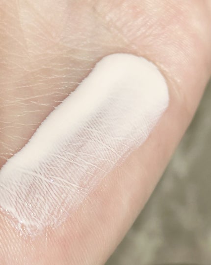 アネッサ デイセラム N/アネッサ/化粧下地を使ったクチコミ(2枚目)