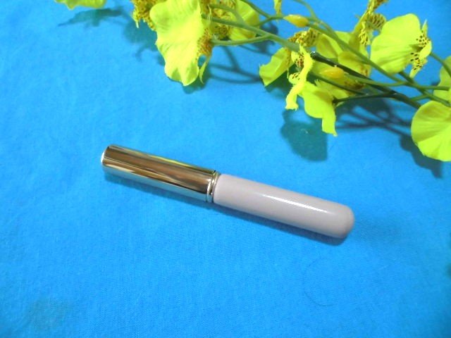 シリコンポータブルリップブラシ/Toomoji/メイクブラシを使ったクチコミ（1枚目）