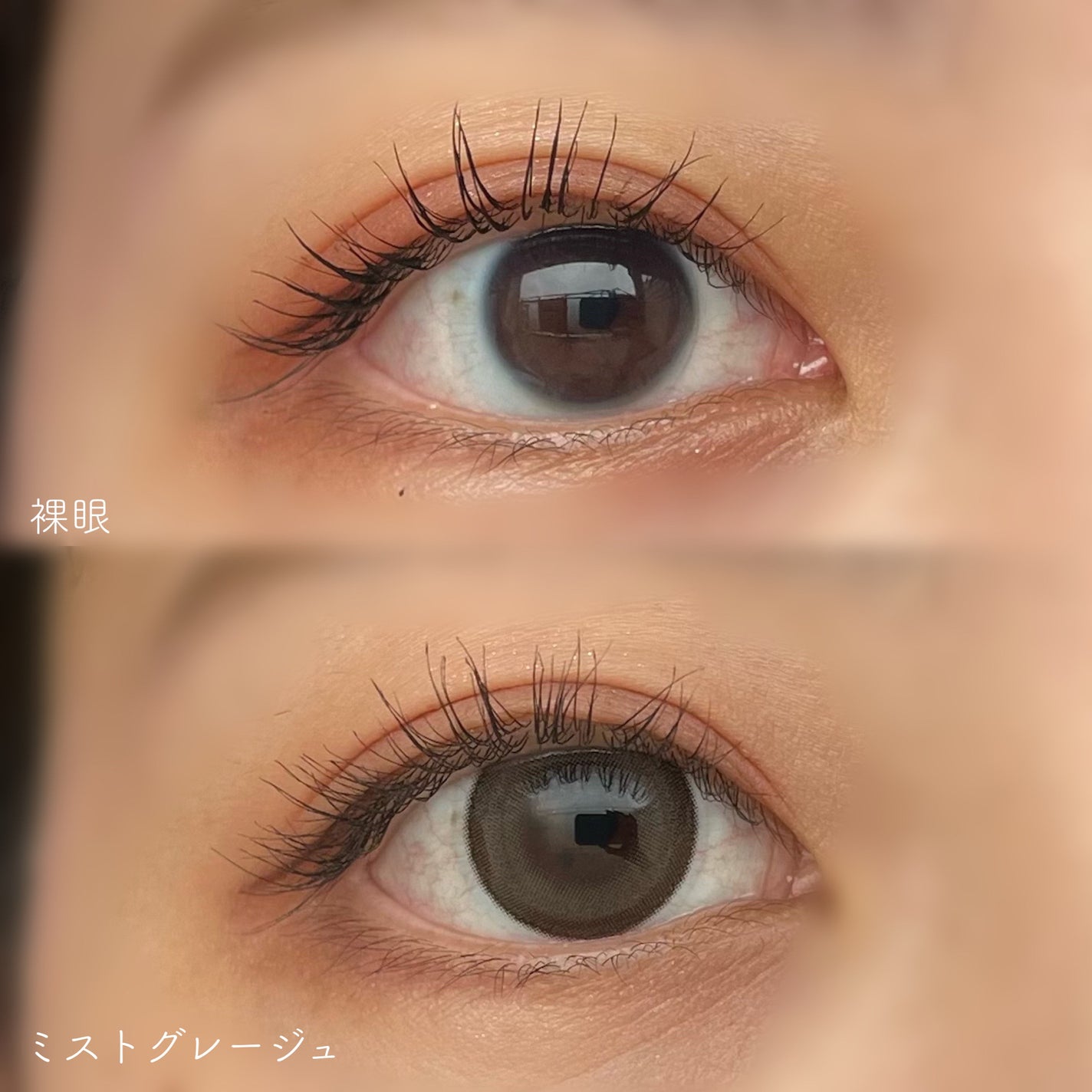 VELVETEAR/VELVETEAR/ワンデー(1DAY)カラコンを使ったクチコミ(3枚目)