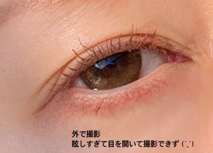エレガンス グラヴィティレス マスカラ/Elégance/マスカラを使ったクチコミ(3枚目)