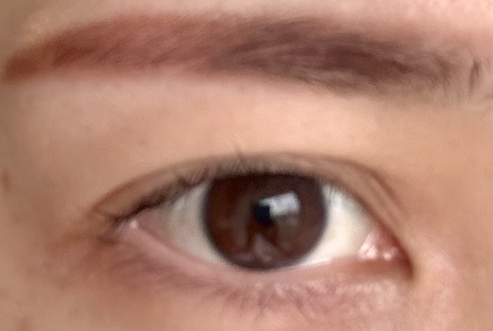 ミックスアイブロウカラー/キャンメイク/パウダーアイブロウを使ったクチコミ（3枚目）