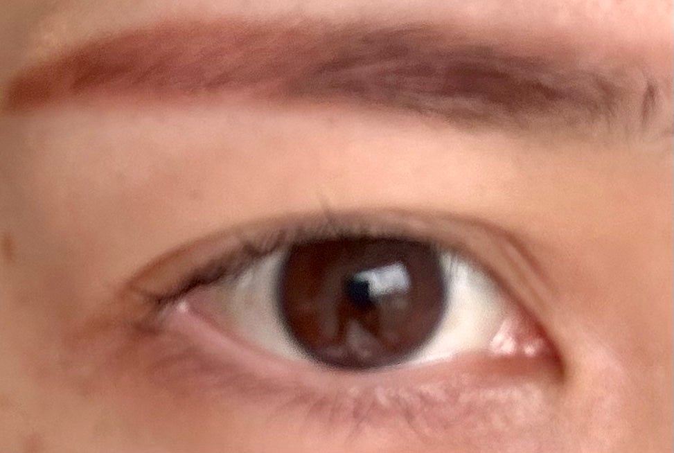 ミックスアイブロウカラー/キャンメイク/パウダーアイブロウを使ったクチコミ(3枚目)