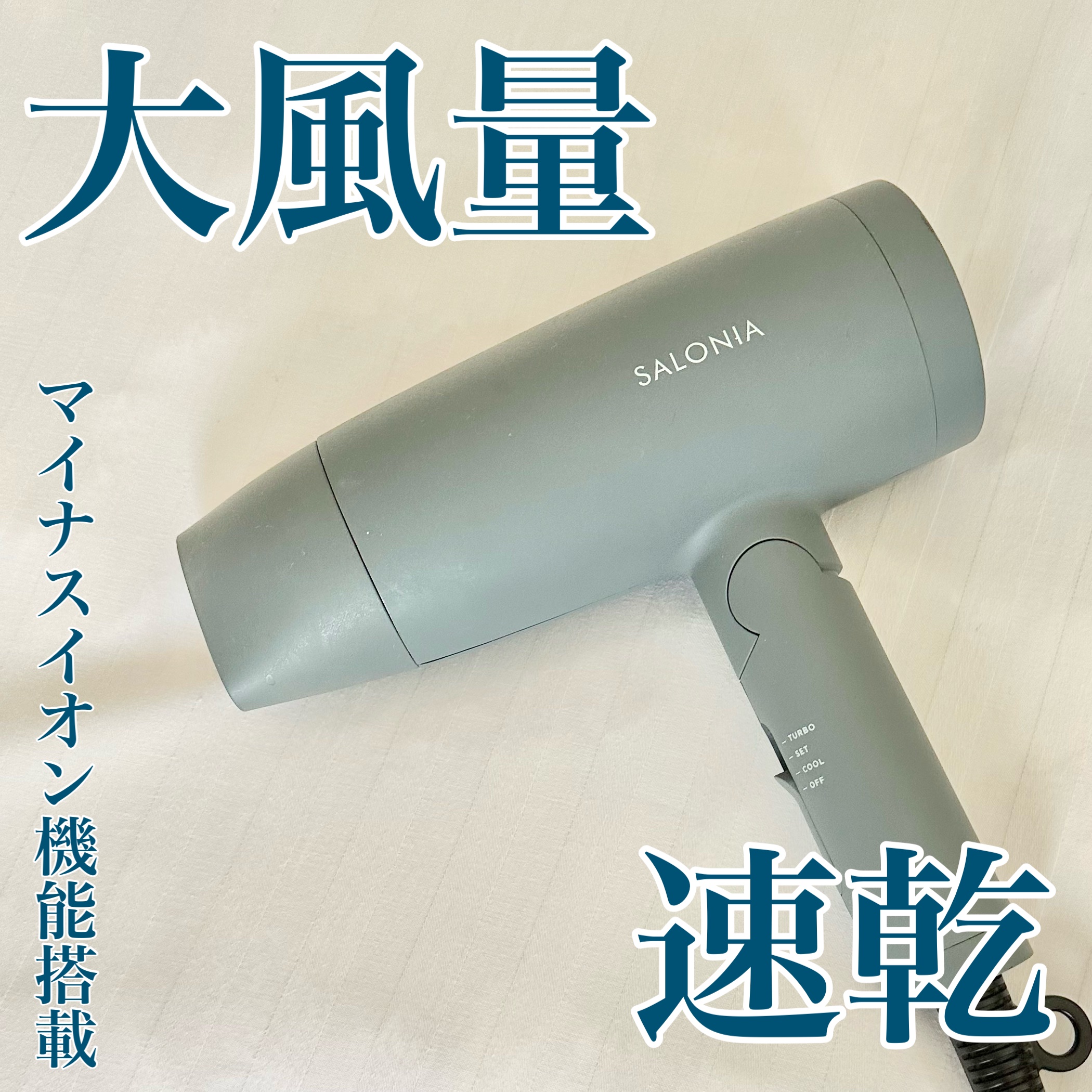 スピーディーイオンドライヤー グレー(WEB限定)/SALONIA/ドライヤーを使ったクチコミ（1枚目）
