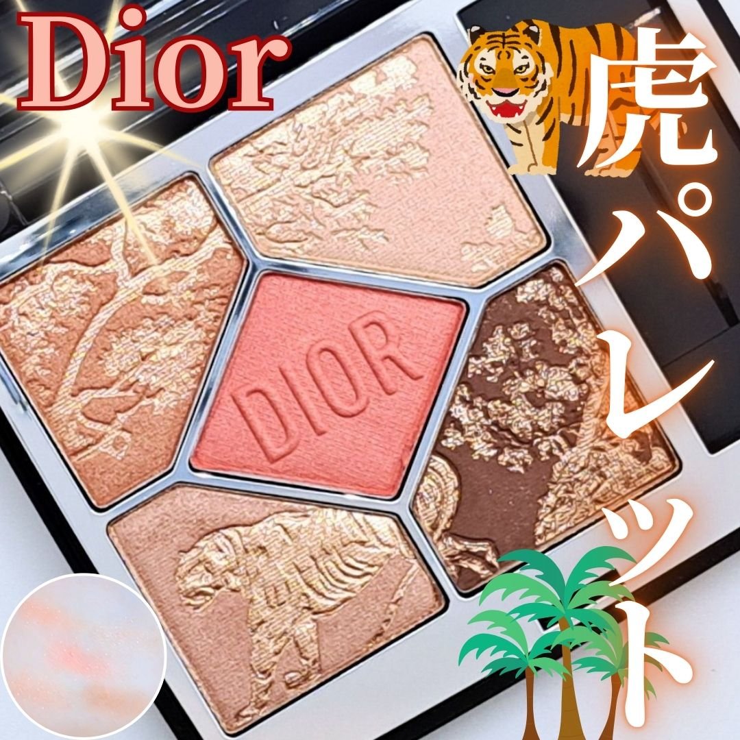 ディオールショウ サンク クルール/Dior/アイシャドウを使ったクチコミ（1枚目）
