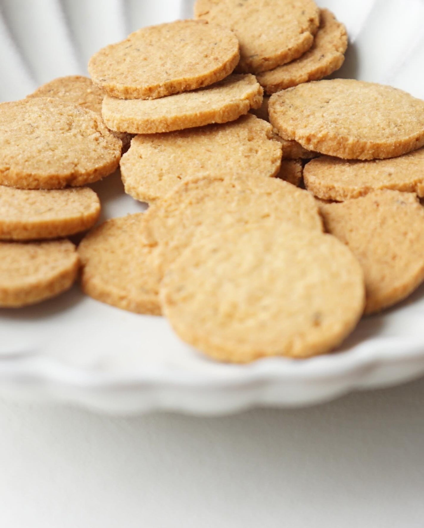 沖縄島とうふのおからコッティ/金秀商事/その他食品を使ったクチコミ(4枚目)