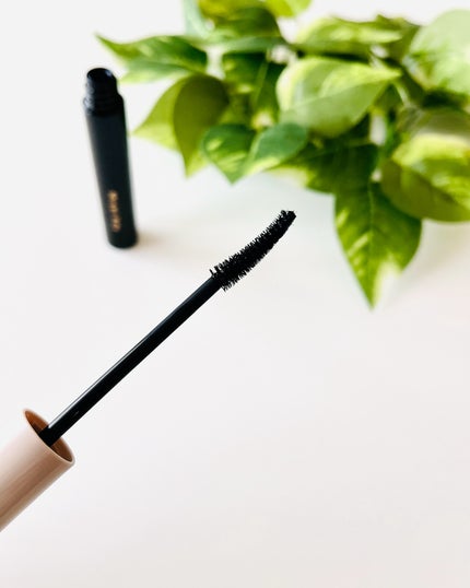 ミゼルエディ カールアップマスカラ ロング/ミゼルエディ/マスカラを使ったクチコミ(4枚目)