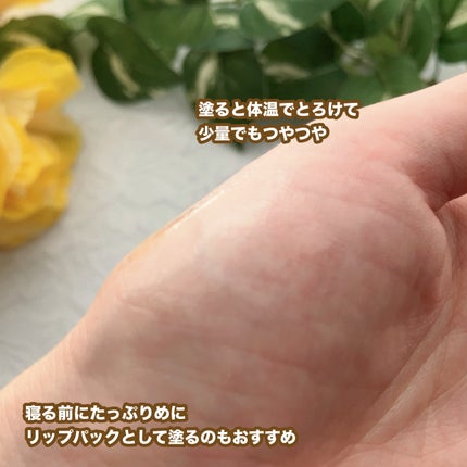 リップバター~Lip Butter~/Bee Treasure/リップクリームを使ったクチコミ(4枚目)