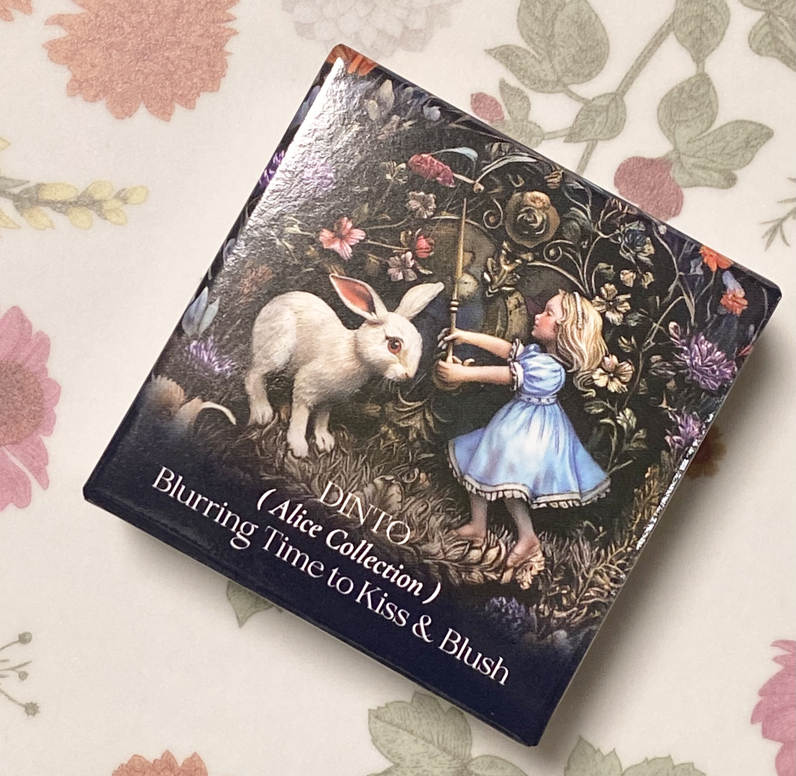 ブラーリングタイムトゥーキスアンドブラッシュ/Dinto/口紅を使ったクチコミ（1枚目）