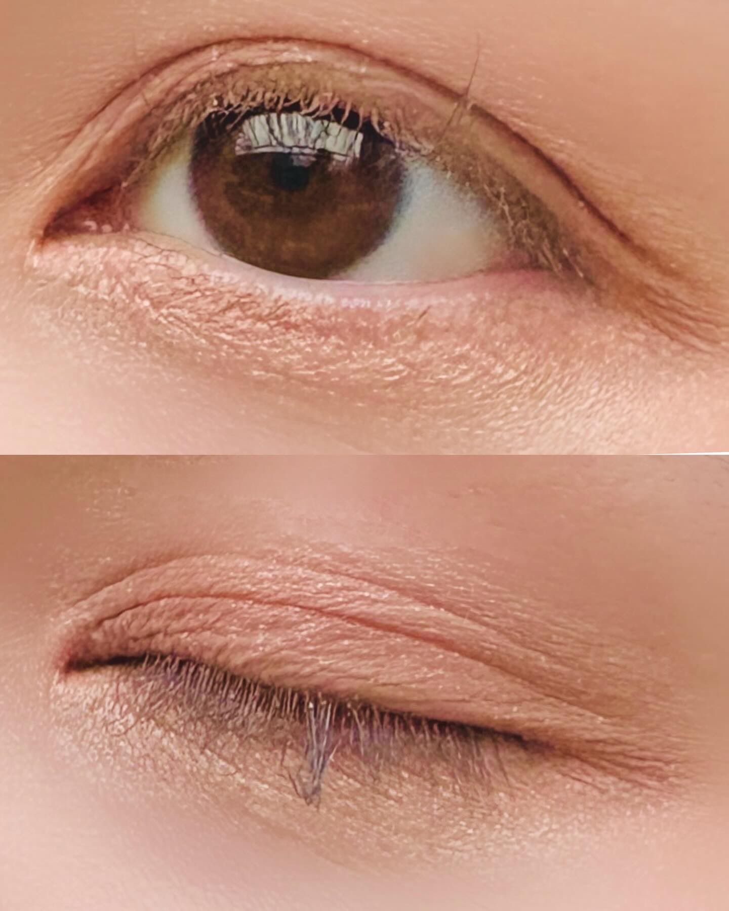 ベターミーアイパレット/2aN/マルチパレットを使ったクチコミ（2枚目）