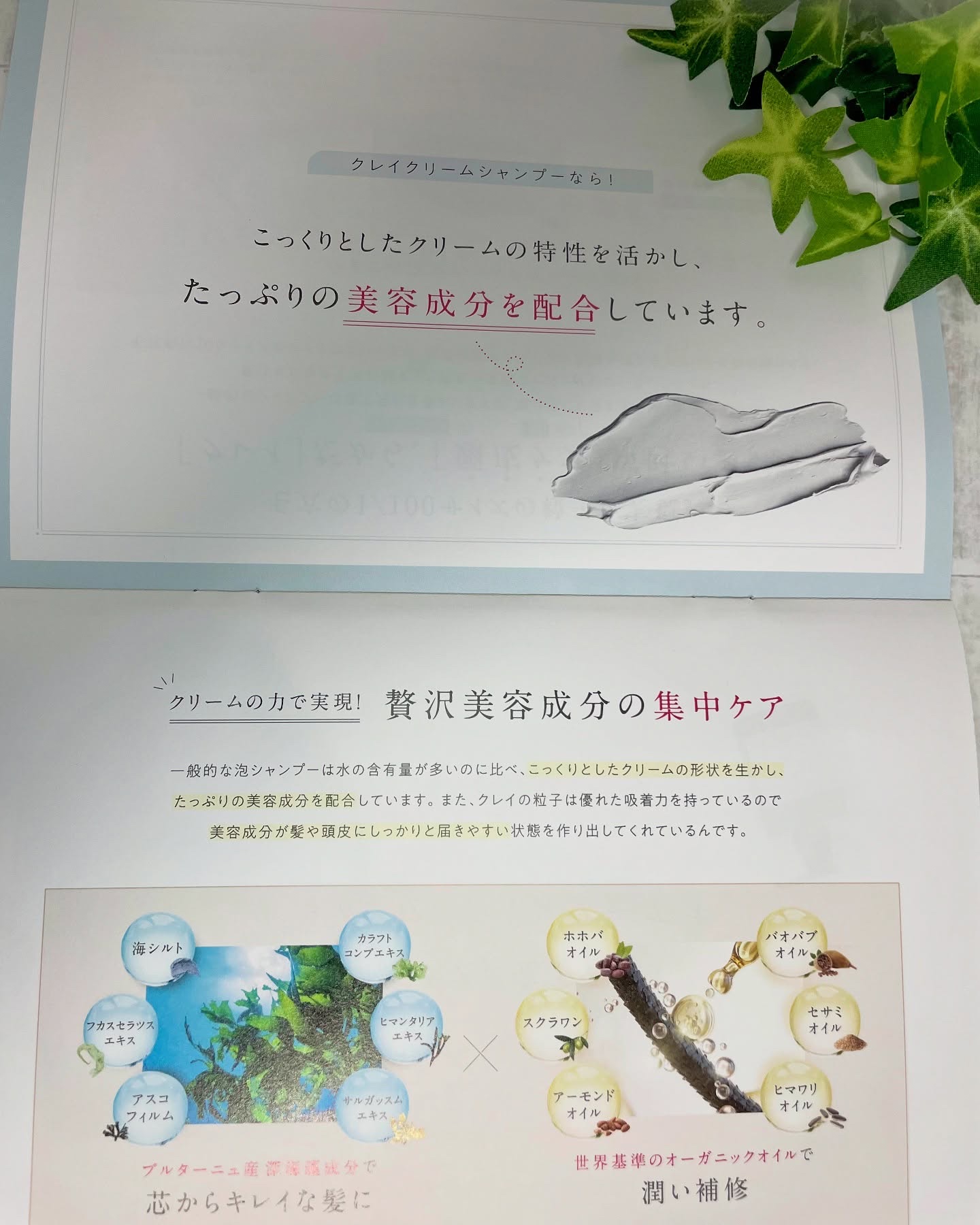 cocone クレイクリームシャンプー リペア/cocone/市販シャンプーを使ったクチコミ（2枚目）