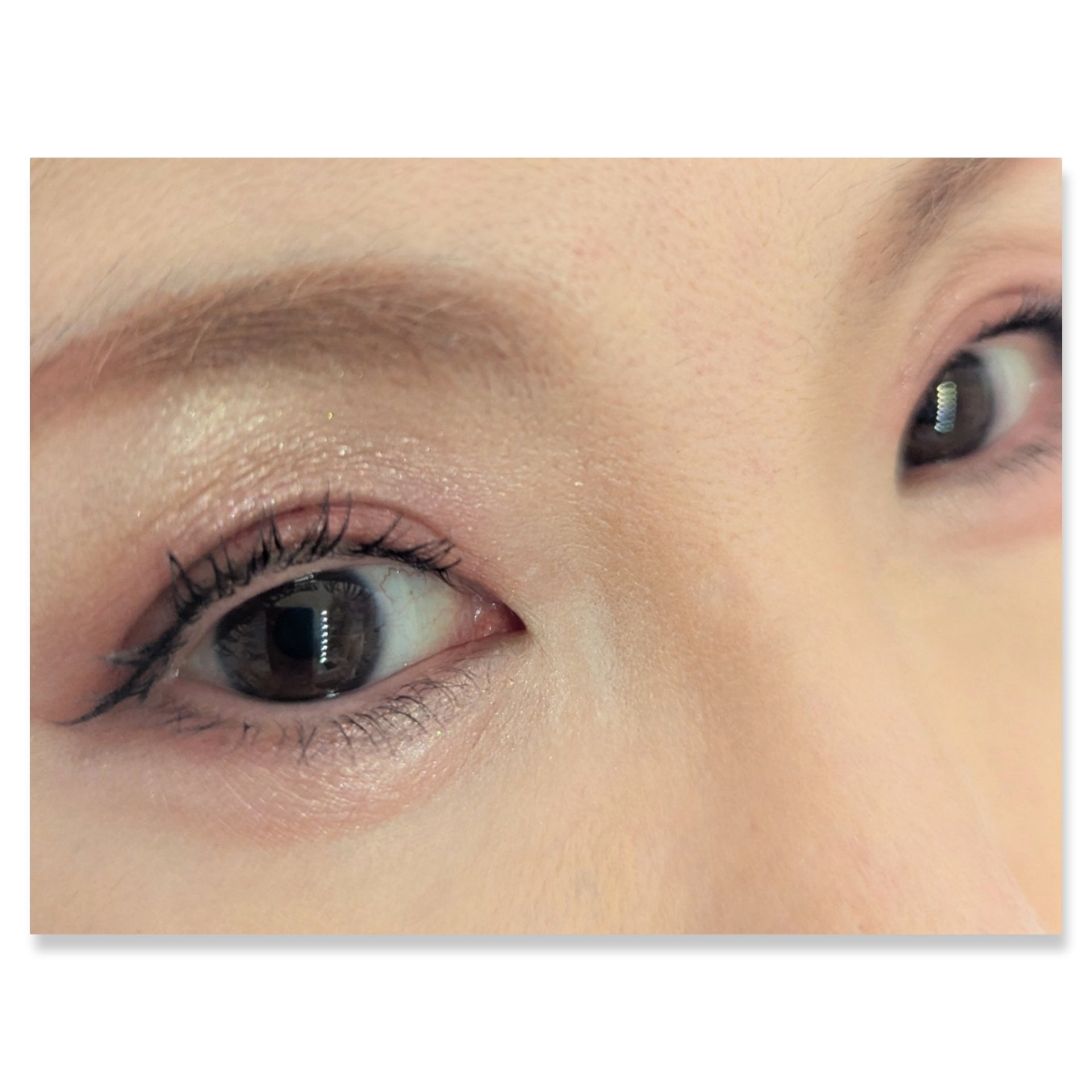 エレガンス ヌーヴェル アイズ/Elégance/アイシャドウパレットを使ったクチコミ（2枚目）