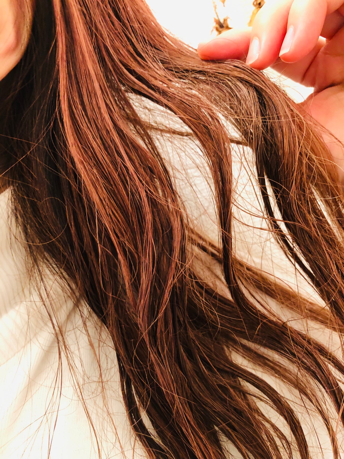 ロータス ワンデーパーマスタイル ヘアフォーム ティー&シトラスの香り/ダイアン/その他スタイリングを使ったクチコミ(6枚目)