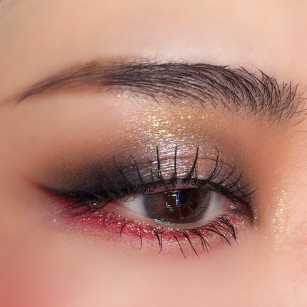 エクスプローラ12色 動物アイシャドウパレット/PERFECT DIARY/アイシャドウパレットを使ったクチコミ(6枚目)