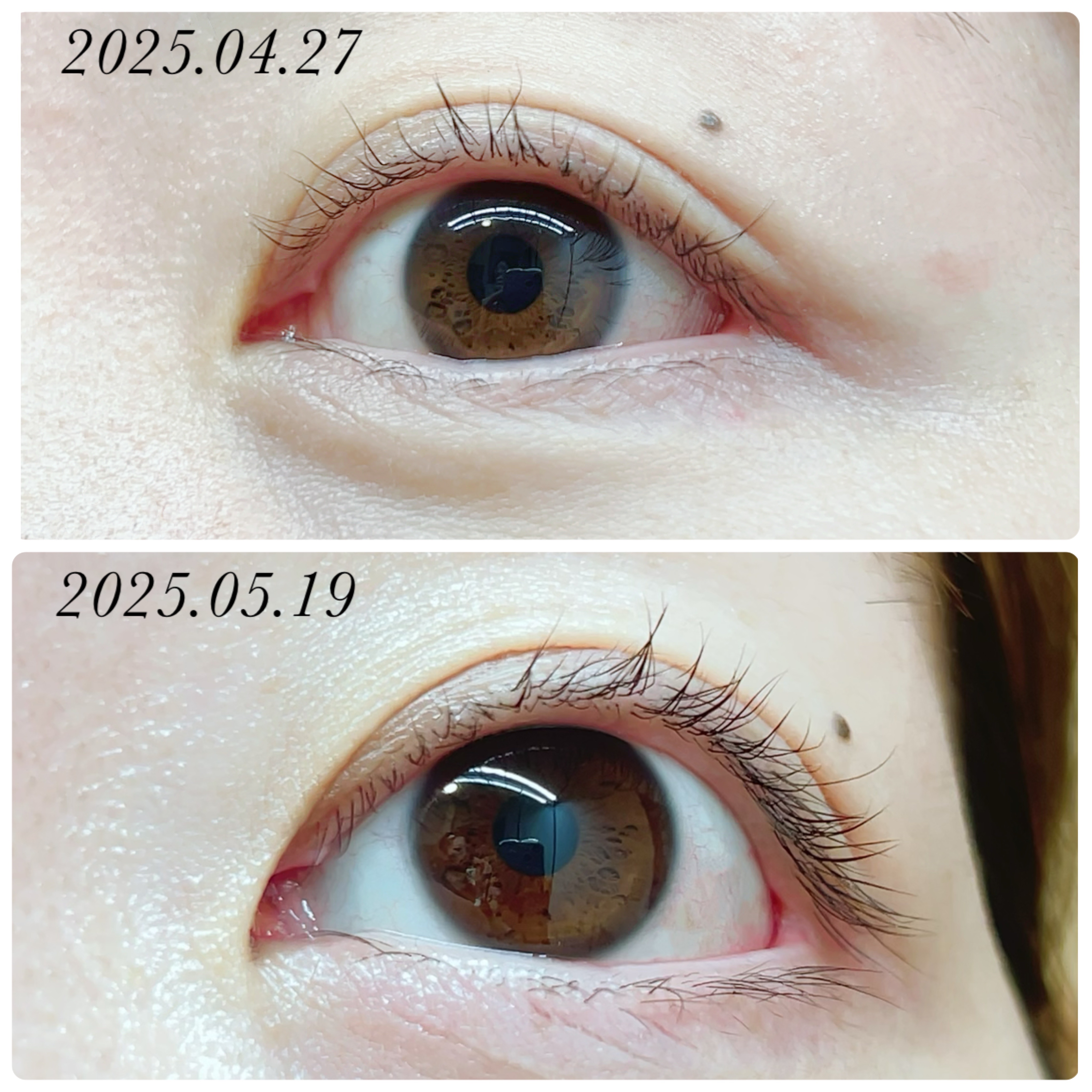 ラッシュリッチアイラッシュセラム/ロート製薬/まつげ美容液を使ったクチコミ（2枚目）