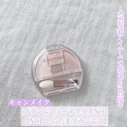 プランぷくコーデアイズNeo/キャンメイク/アイシャドウを使ったクチコミ(1枚目)