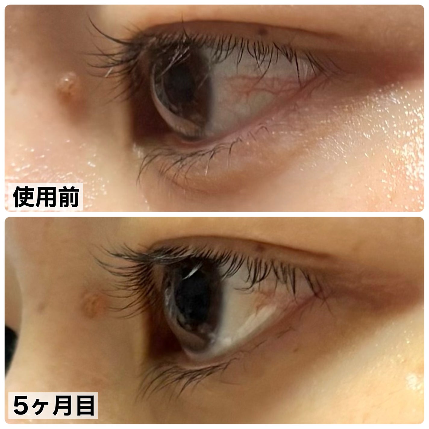 ã¿ãð»ãã©ãã on LIPS ã5æã®ãŸã€æ¯èšé²/âŒâ¢â¢âââ¢â¢âŒâ¢â¢âââ¢â¢âŒâ¢â¢âââ¢â¢âŒ..ãïŒ2æç®ïŒ