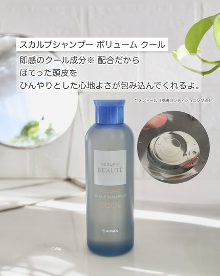 スカルプD ボーテ スカルプシャンプー/トリートメントパック ボリューム クール/アンファー(スカルプD)/市販シャンプーを使ったクチコミ(2枚目)