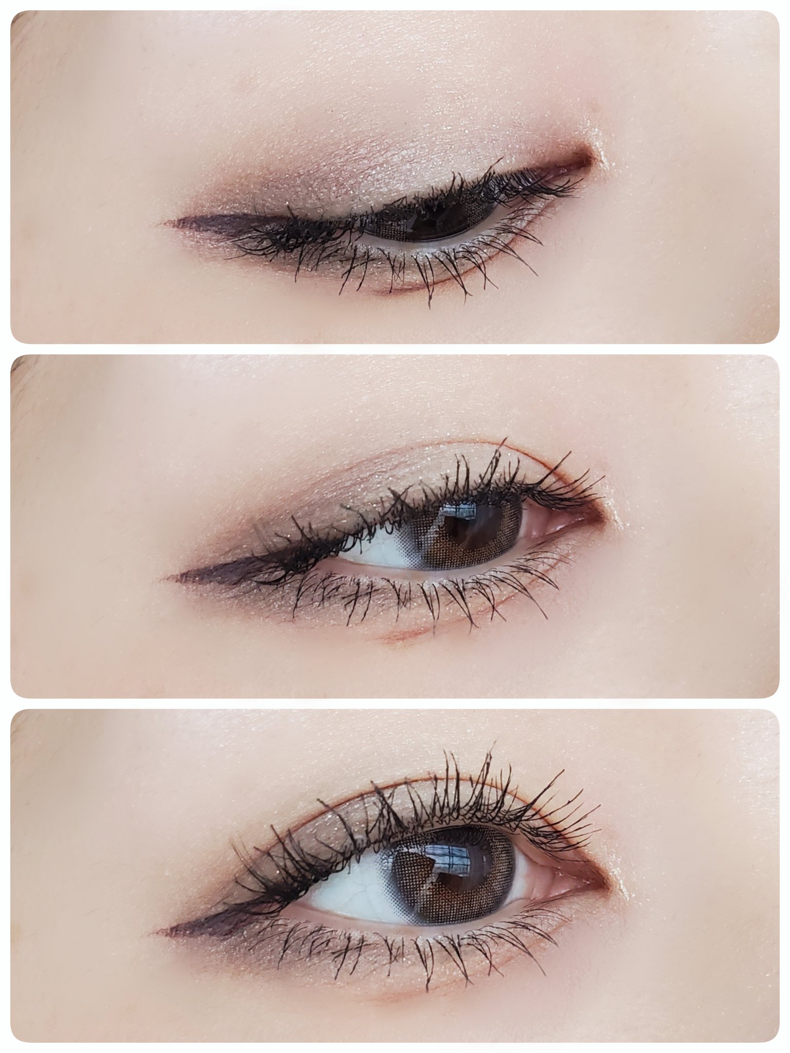 MOLAK 1day/MOLAK/ワンデー（１DAY）カラコンを使ったクチコミ（1枚目）