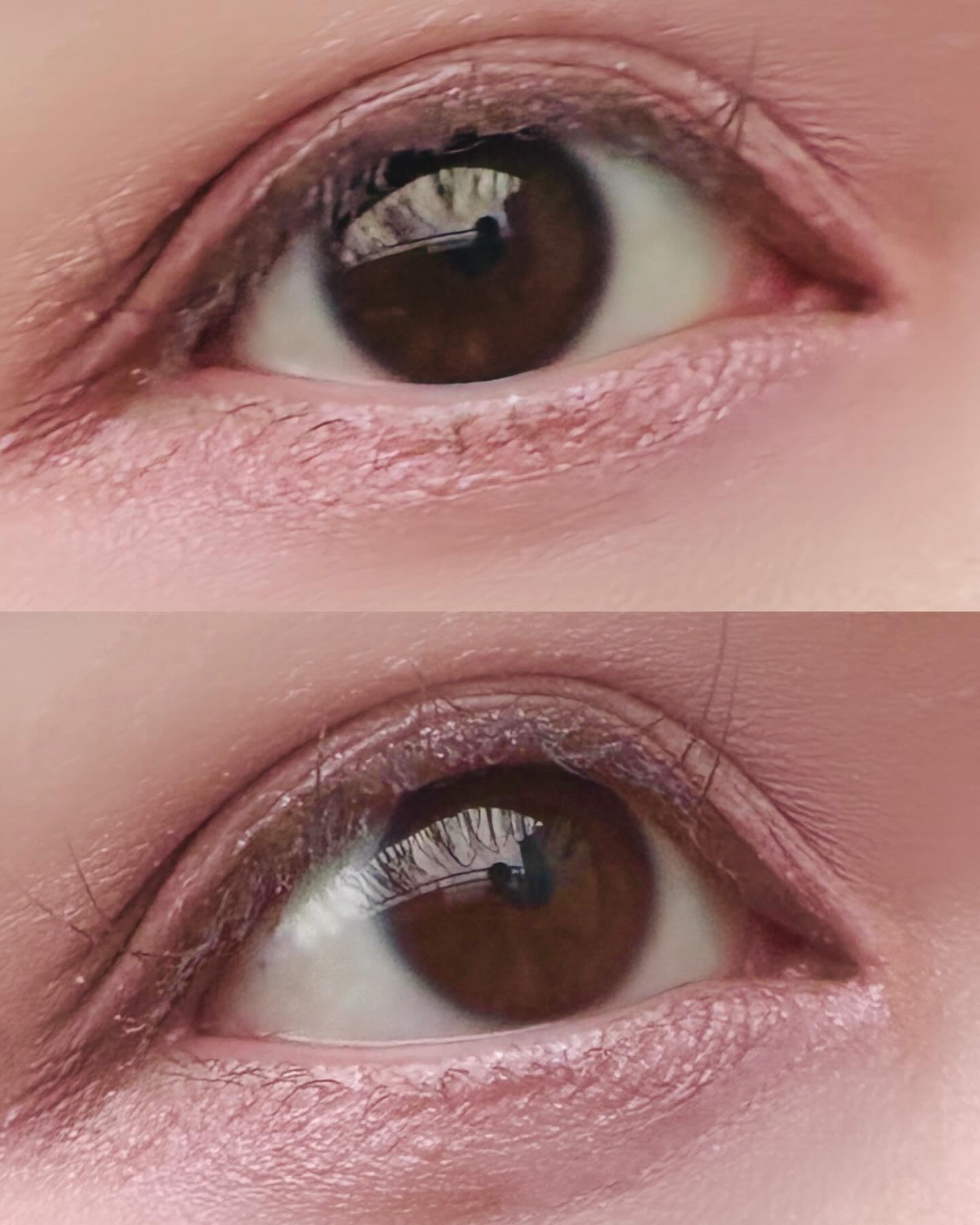 ベターミーアイパレット/2aN/マルチパレットを使ったクチコミ（2枚目）