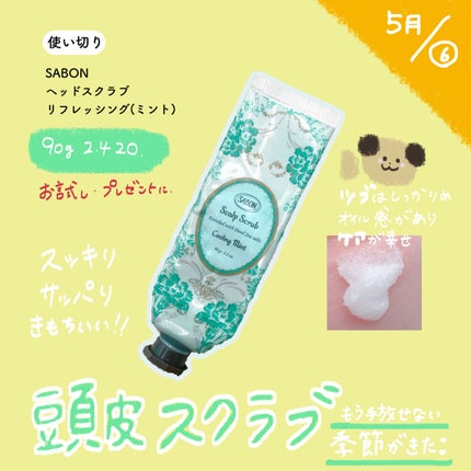 ヘッドスクラブ リフレッシング(ミント)/SABON/ヘッドスクラブを使ったクチコミ(1枚目)
