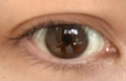 パーフェクトマルチアイズ/キャンメイク/アイシャドウパレットを使ったクチコミ(4枚目)