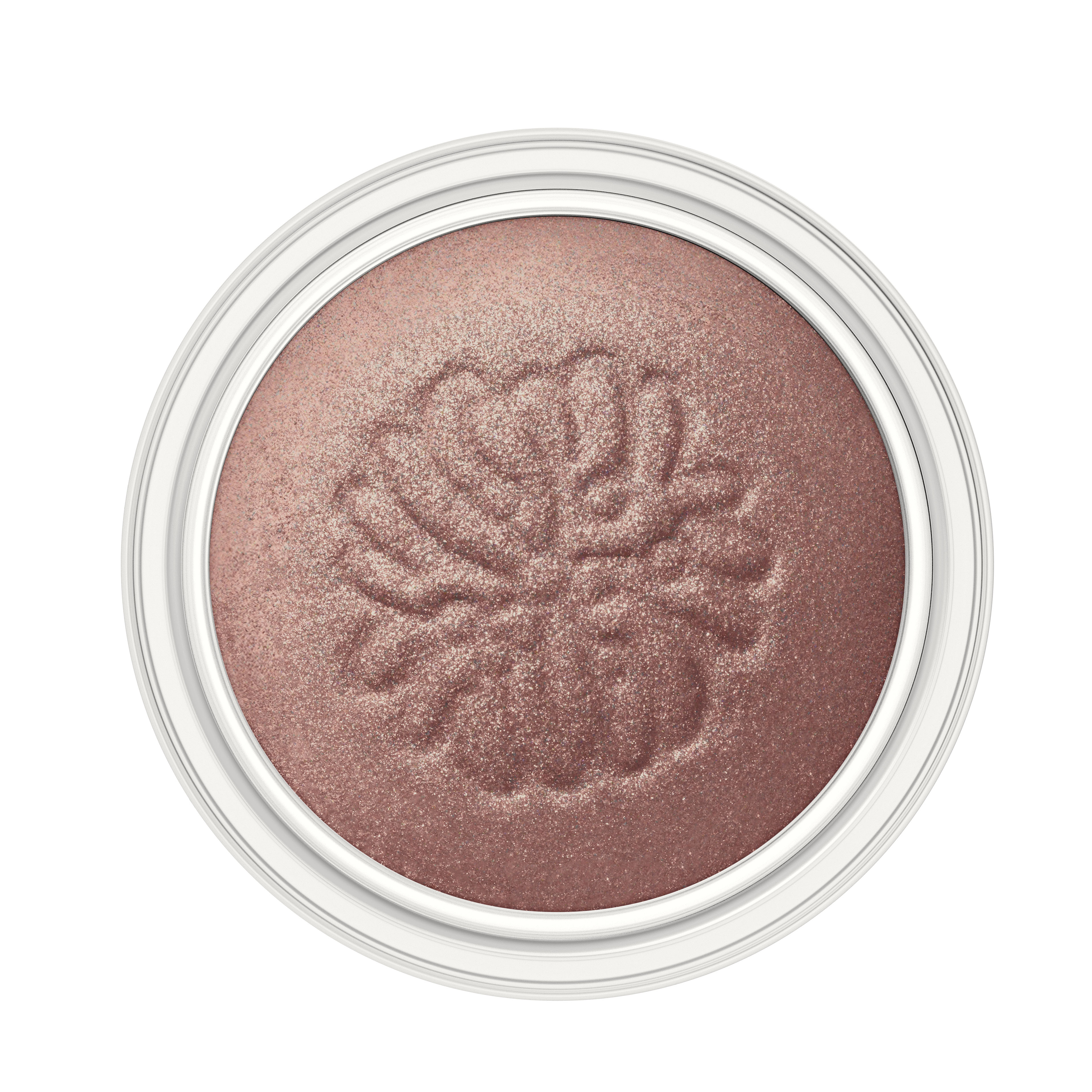 ポール & ジョー シマリング アイカラー 05 クシェ ドゥ ソレイユ