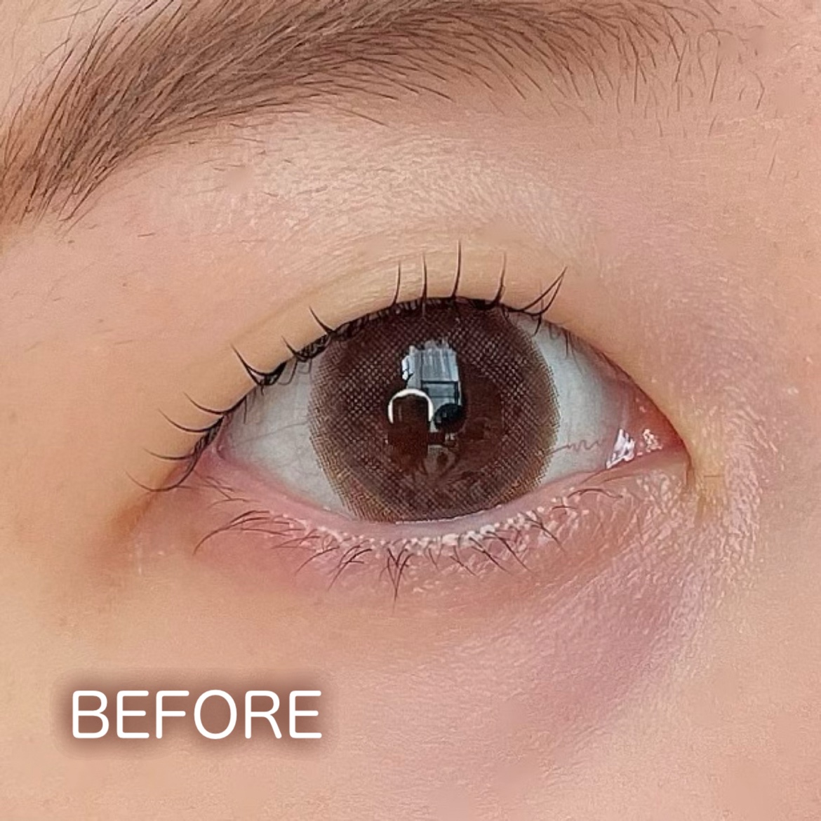 ラッシュエキスパンダー 孔雀ロング BR666 アンバーブラウン 「女帝」/MAJOLICA MAJORCA/マスカラを使ったクチコミ（3枚目）