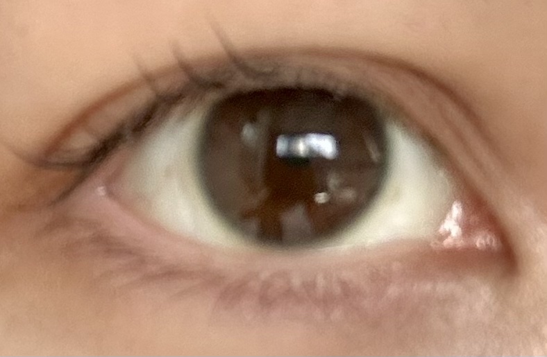 パーフェクトマルチアイズ/キャンメイク/アイシャドウパレットを使ったクチコミ（3枚目）