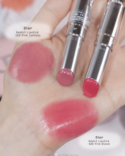 SUMOMO on LIPS 「˗ˋおしゃれキャットのマリーちゃんメイク,₍^..^₎,~🎀W..」(10枚目)