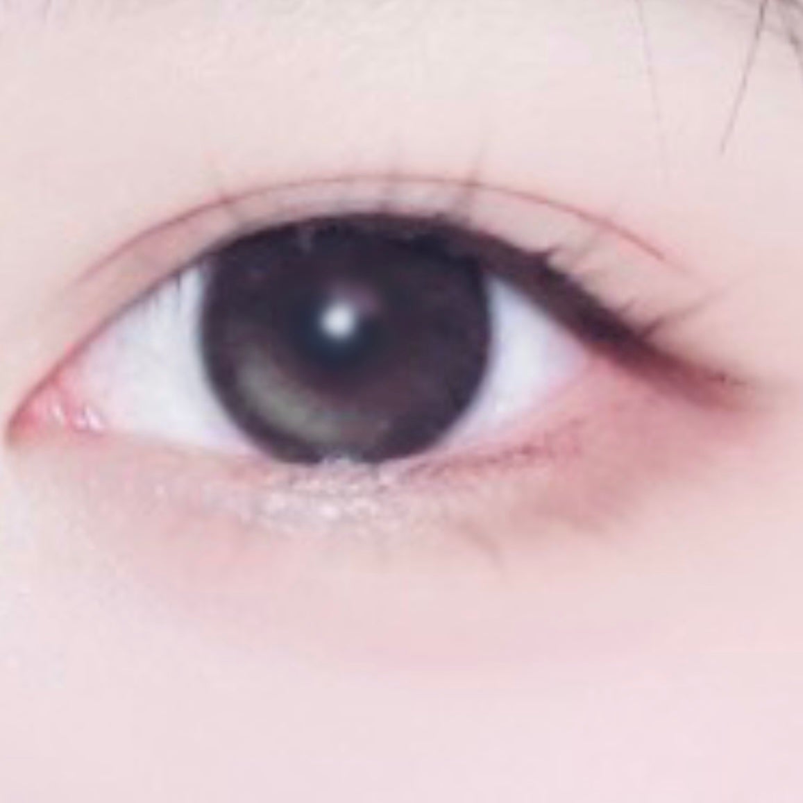 SIE. 1day/SIE./ワンデー(1DAY)カラコンを使ったクチコミ(3枚目)