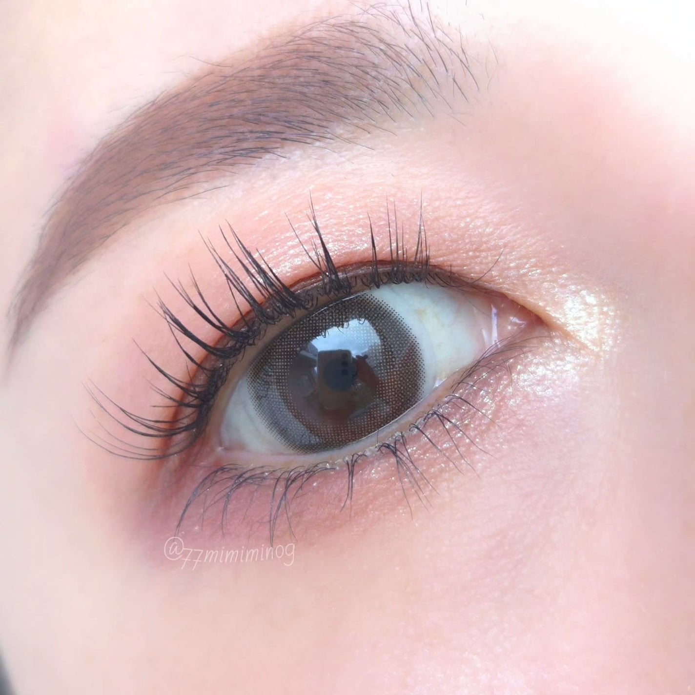 シグニチャー カラー アイズ/SUQQU/アイシャドウパレットを使ったクチコミ(6枚目)