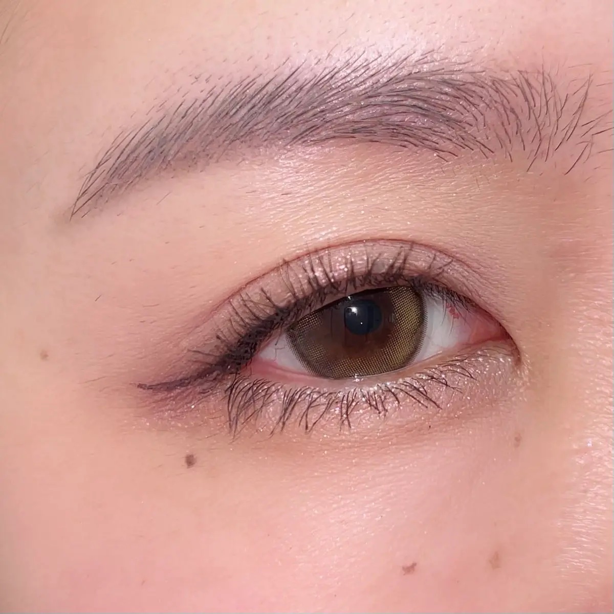 MDショールモーメント アイシャドウパレット/mude./アイシャドウパレットを使ったクチコミ（2枚目）