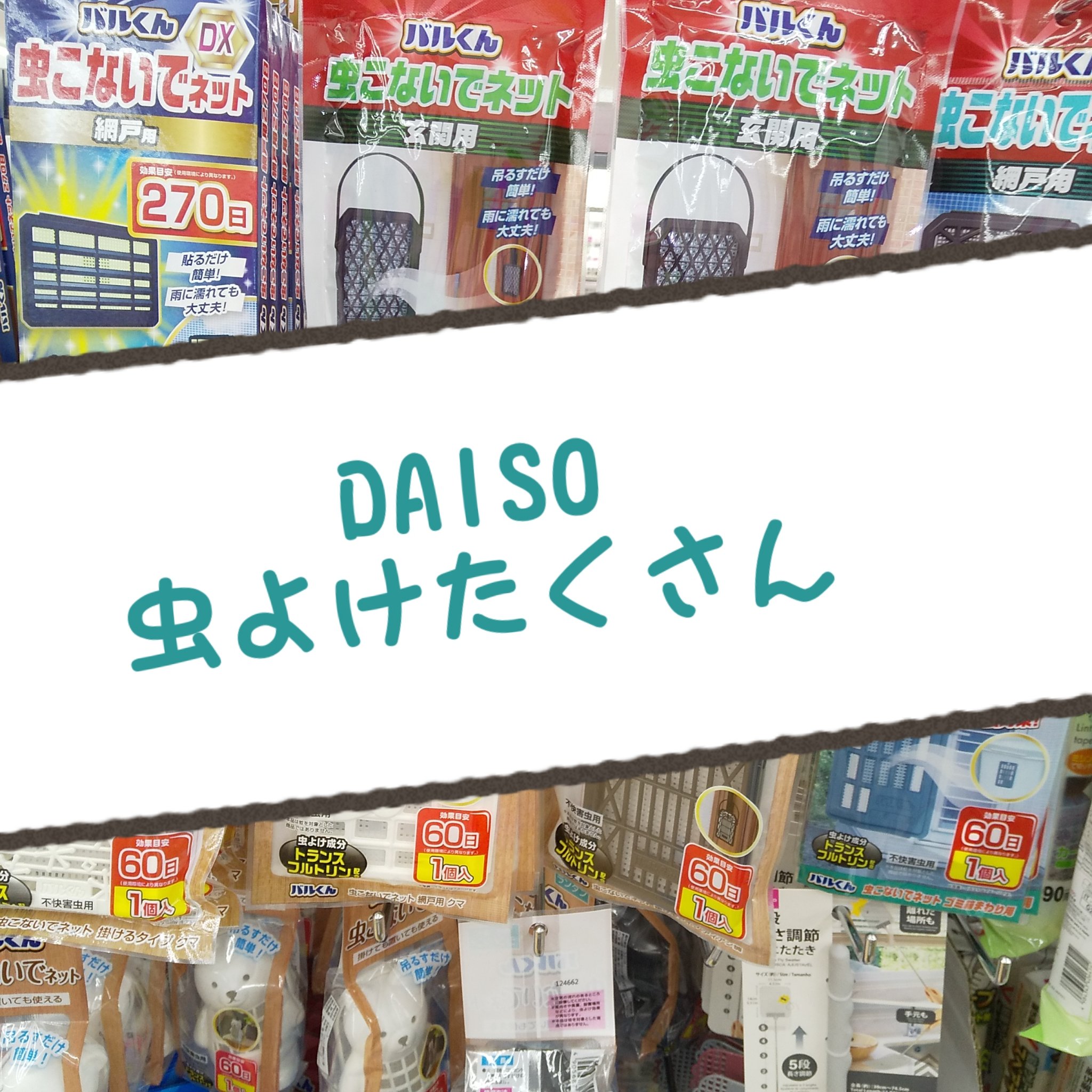 虫こないでネット/DAISO/その他を使ったクチコミ（1枚目）
