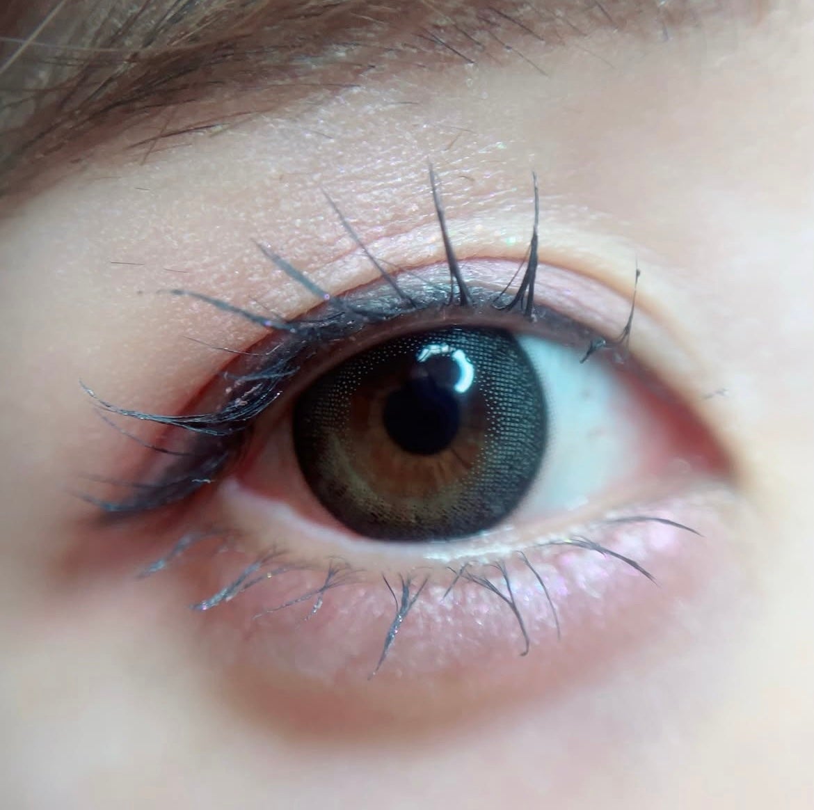 ã«ã³ã ðž on LIPS ãã·ã£ããæ¶è¢ã®å®æ/ãã³ã·ã«ã¿ã€ãã®ã³ã³ã·ãŒã©ãŒã¶ã»ã»ã ãCP..ãïŒ2æç®ïŒ