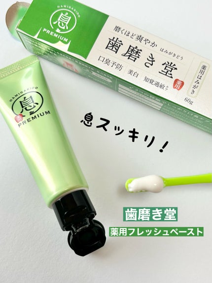 薬用フレッシュペースト【医薬部外品】/歯磨き堂/歯磨き粉を使ったクチコミ(1枚目)